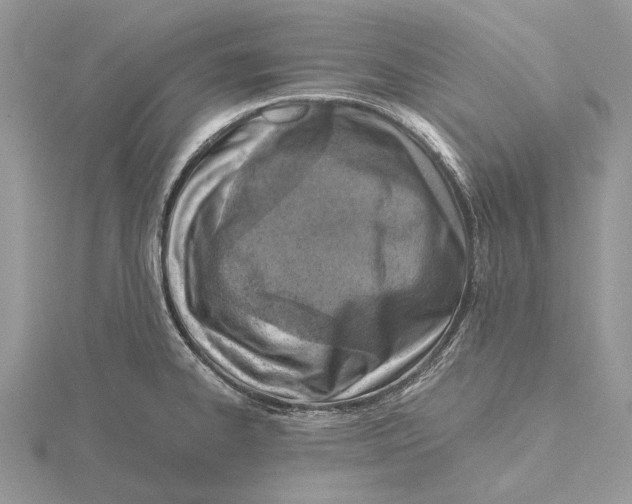 X0000115641334200912081056