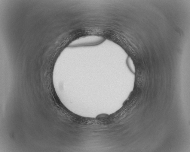 X0000115641345200912081056