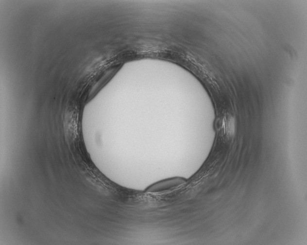 X0000115641348200912081056