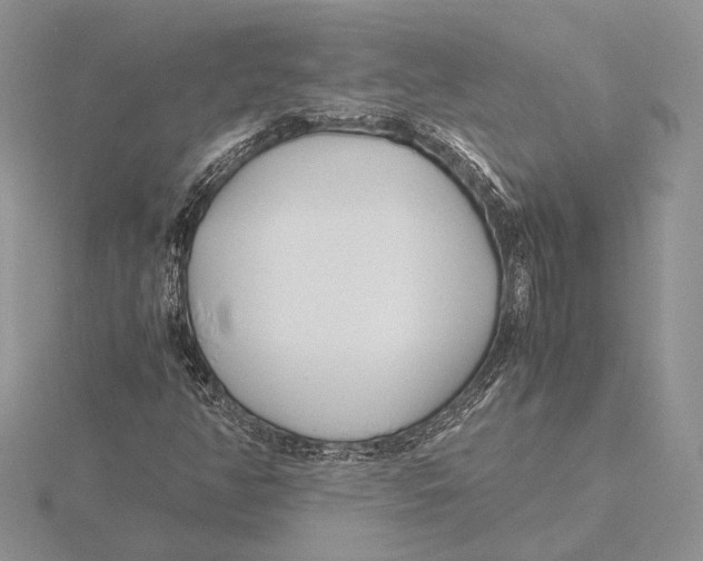 X0000115641350200912081056