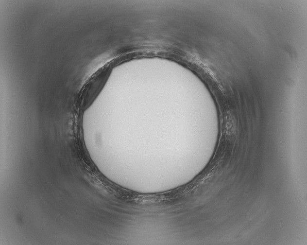 X0000115641352200912081056