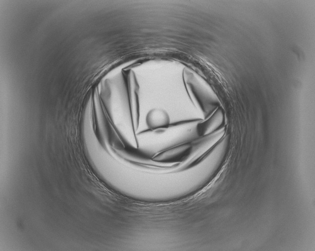 X0000115641353200912081056