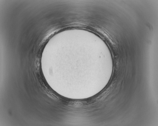 X0000115641355200912081055