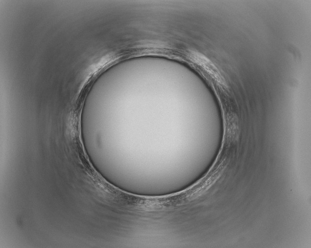 X0000115641357200912081055