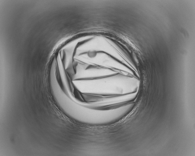 X0000115641358200912081055