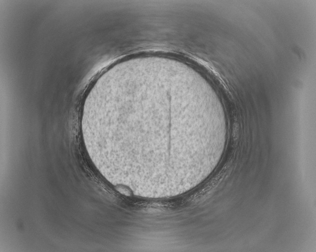 X0000115641359200912081055