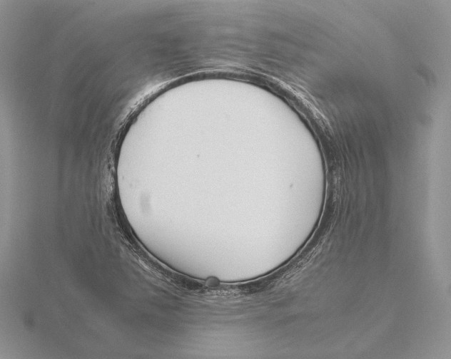 X0000115641363200912081055