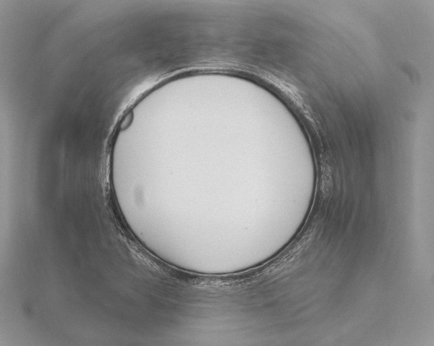 X0000115641366200912081055