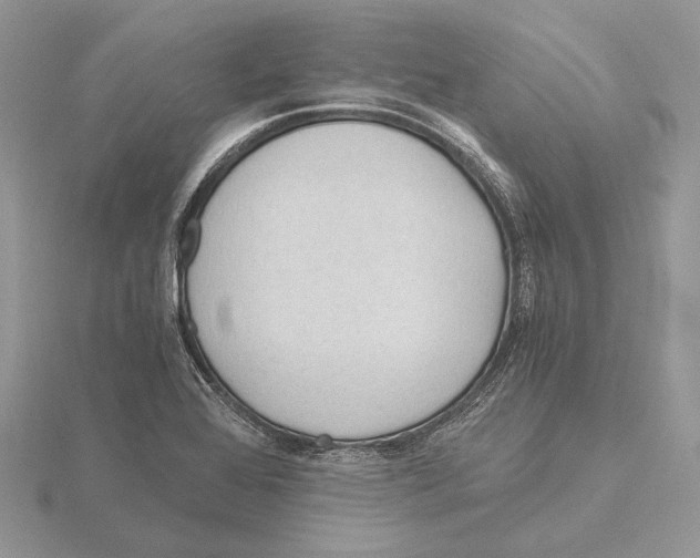 X0000115641368200912081055
