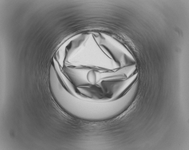 X0000115641369200912081055