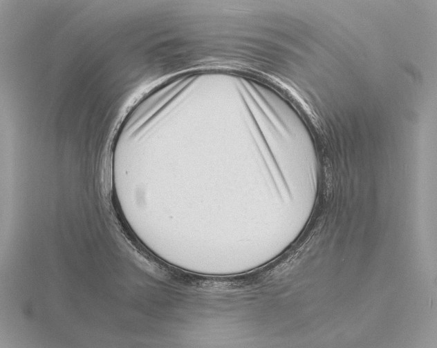X0000115641371200912081055