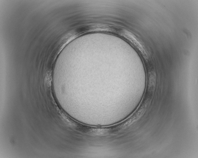 X0000115641377200912081055