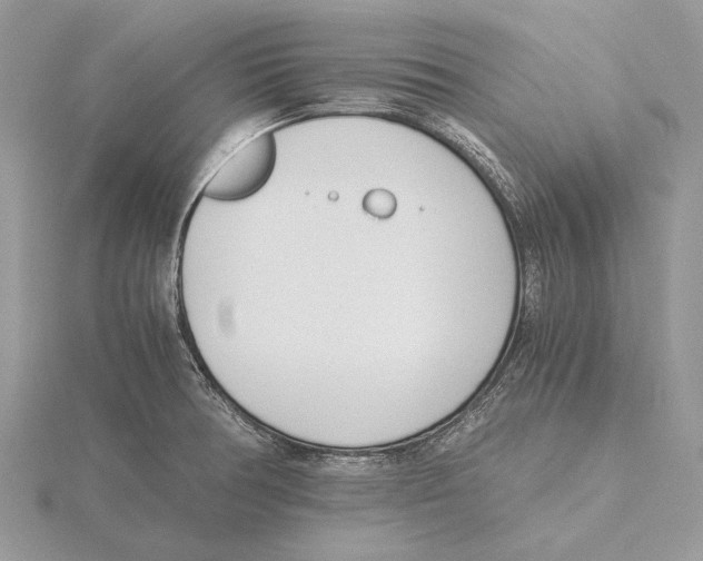 X0000115641378200912081055