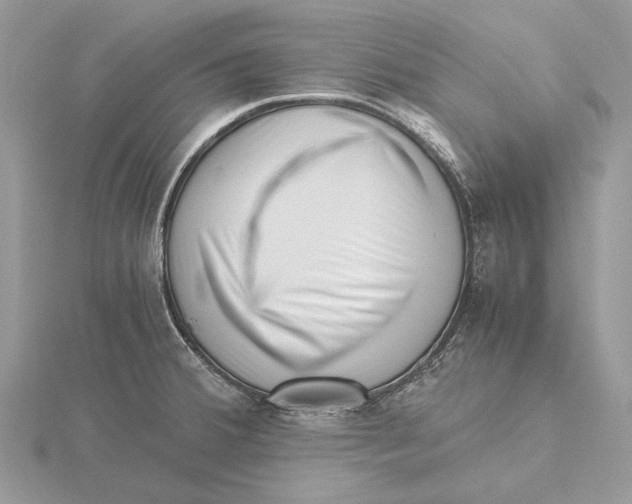 X0000115641380200912081055