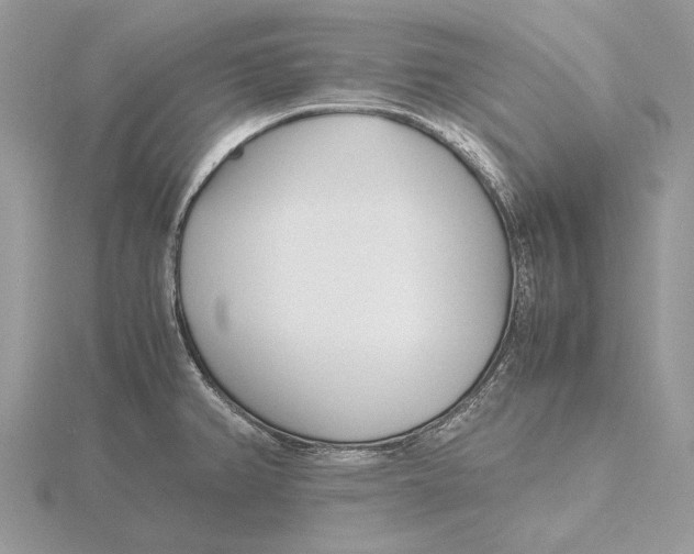 X0000115641382200912081055