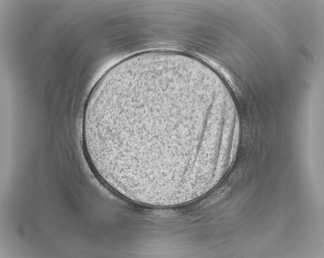 X0000115641383200912081055