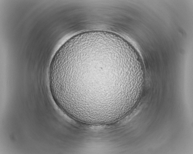 X0000115641389200912081055