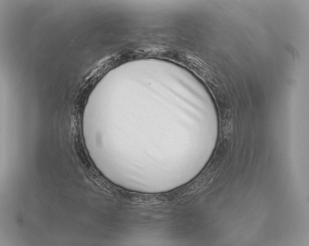 X0000115641397200912081054