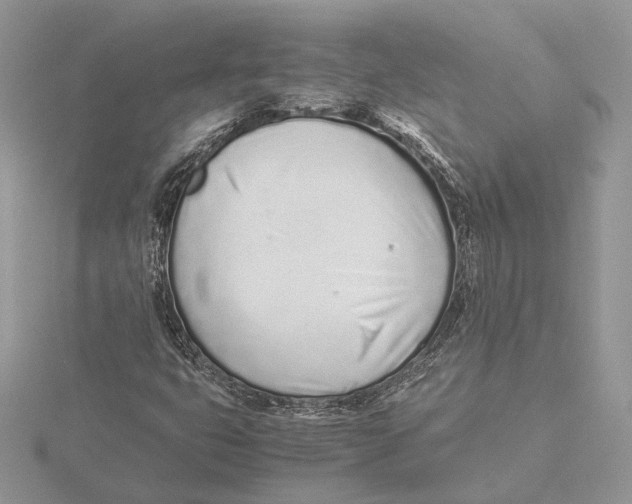 X0000115641399200912081054