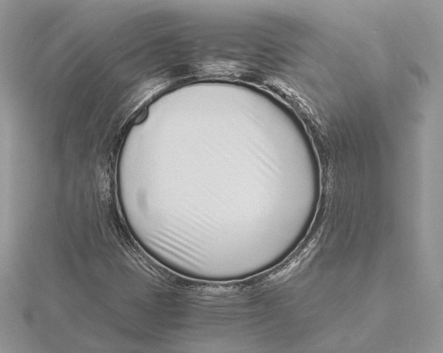 X0000115641401200912081055
