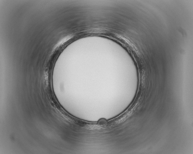 X0000115641402200912081055