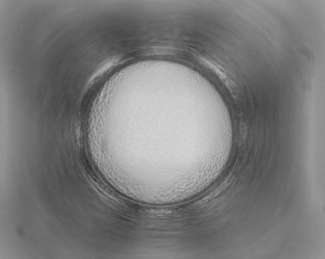X0000115641403200912081055