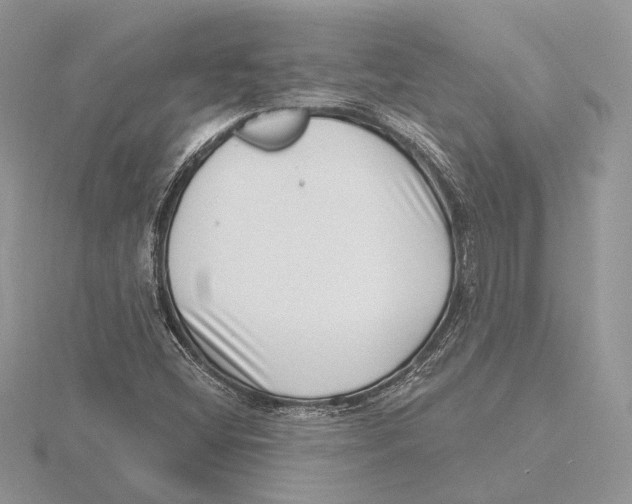 X0000115641404200912081055