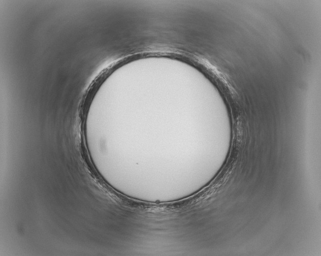 X0000115641408200912081055