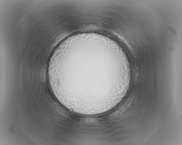 X0000115641409200912081055