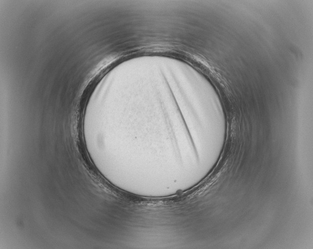 X0000115641410200912081055