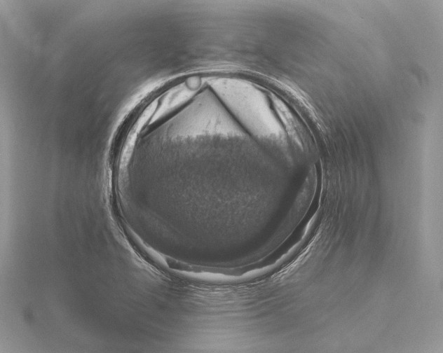 X0000115641414200912081055