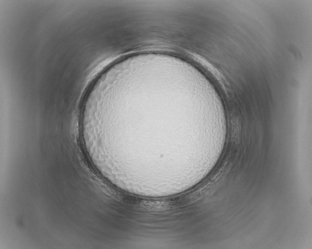 X0000115641415200912081055