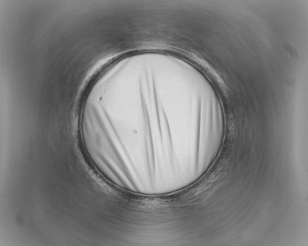 X0000115641416200912081055
