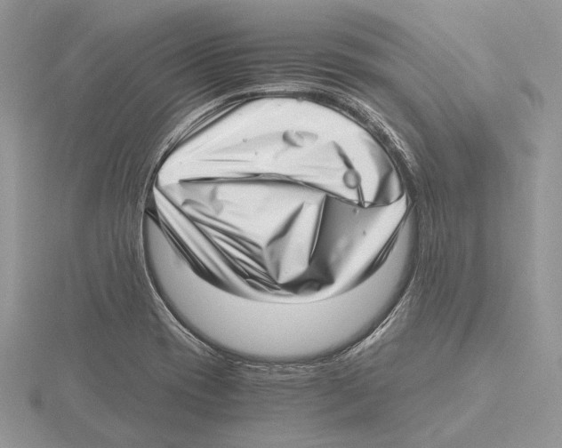 X0000115641417200912081055