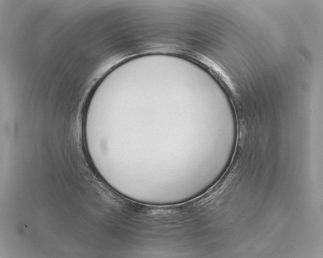 X0000115641419200912081055
