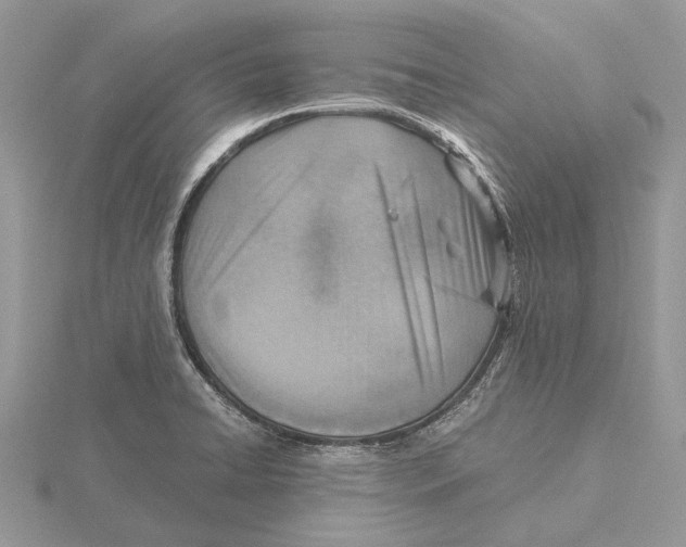 X0000115641422200912081055