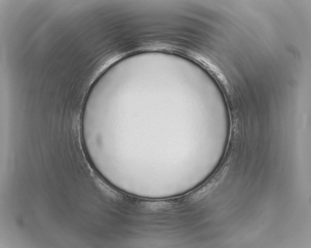 X0000115641425200912081055