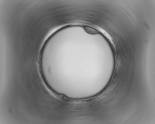 X0000115641429200912081055