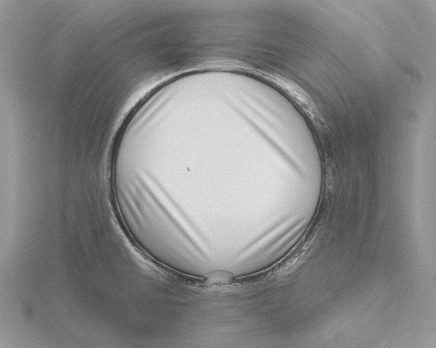 X0000115641430200912081055