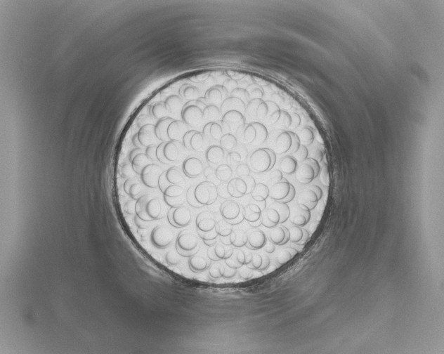 X0000115641432200912081055