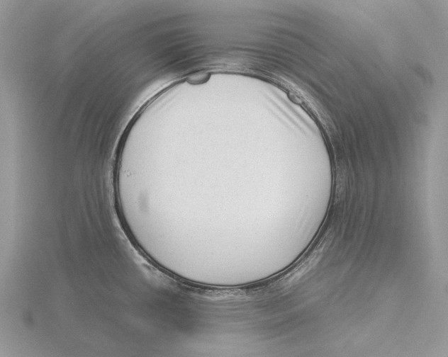 X0000115641434200912081055
