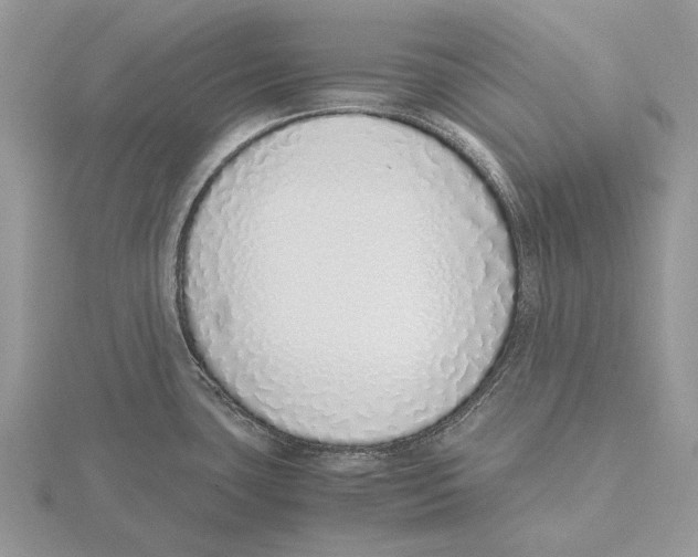 X0000115641435200912081055