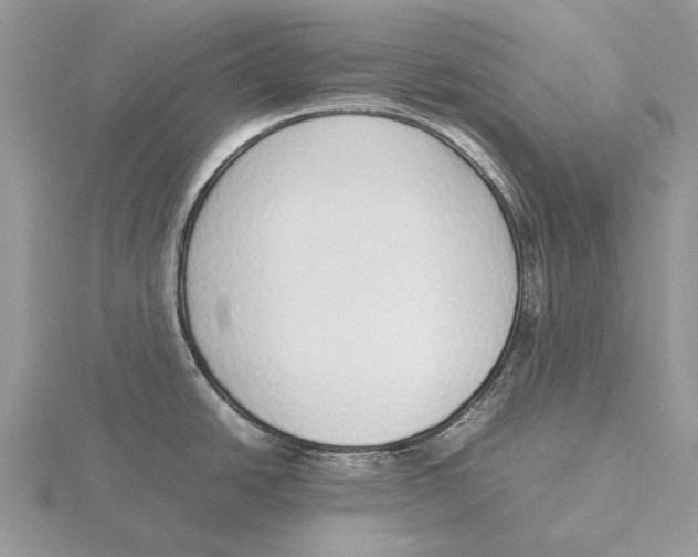 X0000115641438200912081055