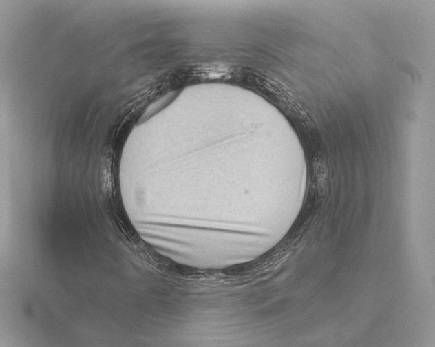 X0000115641442200912081054
