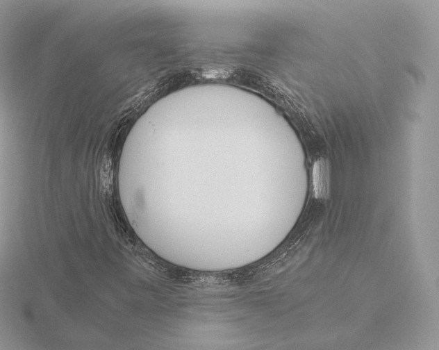 X0000115641443200912081054