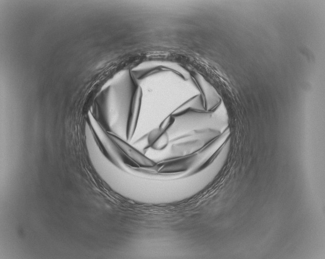 X0000115641445200912081054