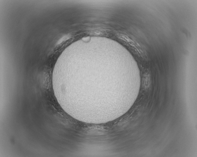 X0000115641446200912081054