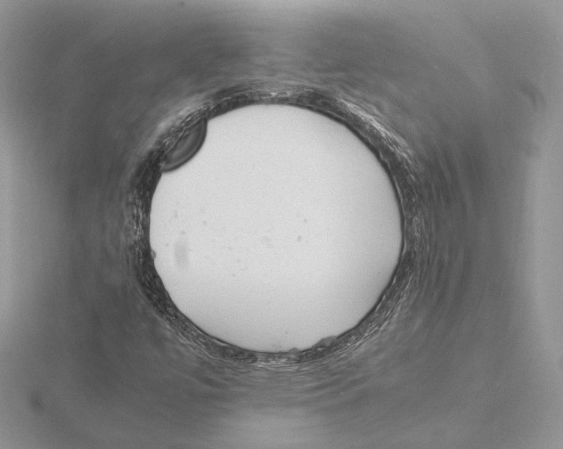 X0000115641447200912081054