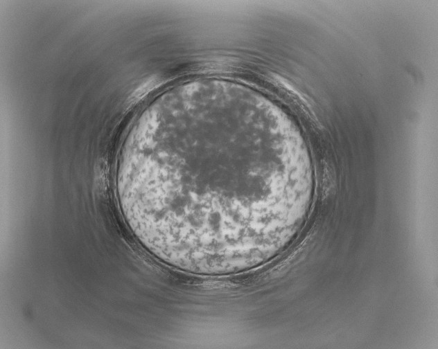 X0000115641449200912081054