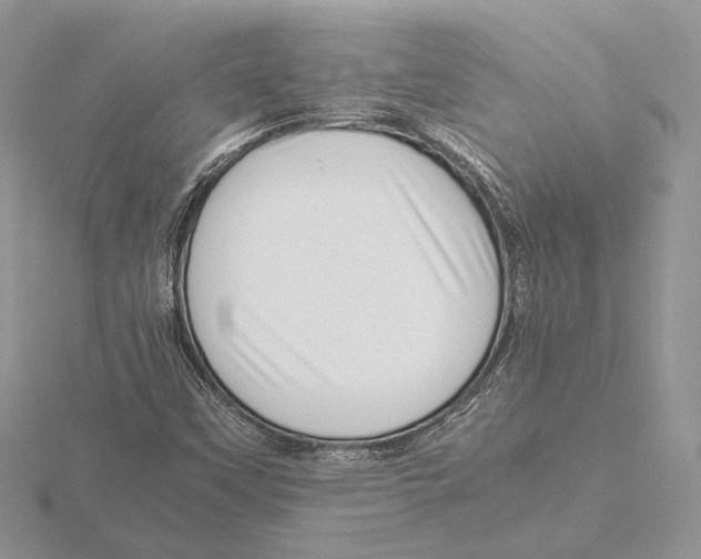 X0000115641451200912081054